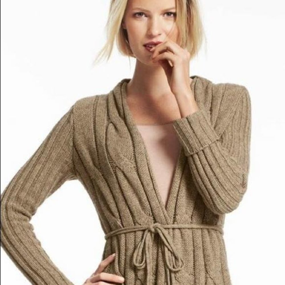 Cabi Acorn Sweater Style 581